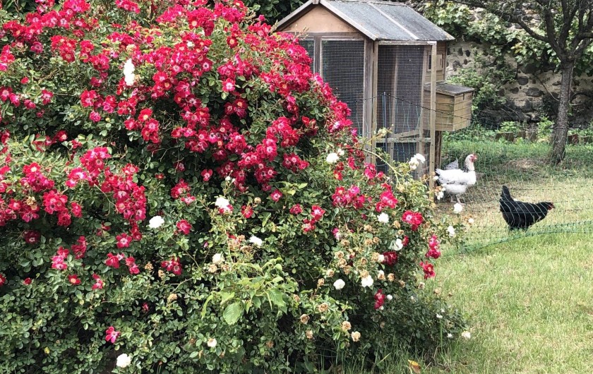Location de vacances - Chambre d'hôtes à Chadeleuf