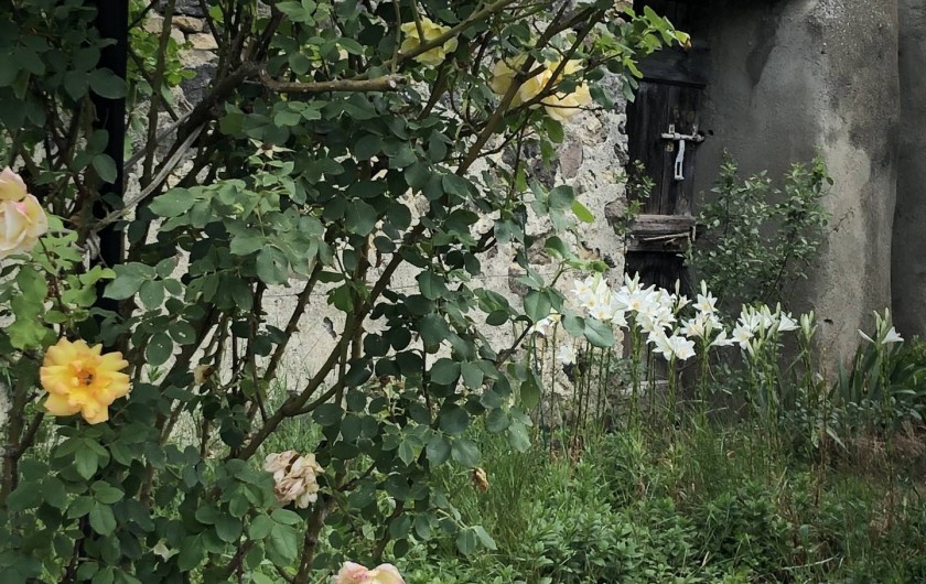 Location de vacances - Chambre d'hôtes à Chadeleuf
