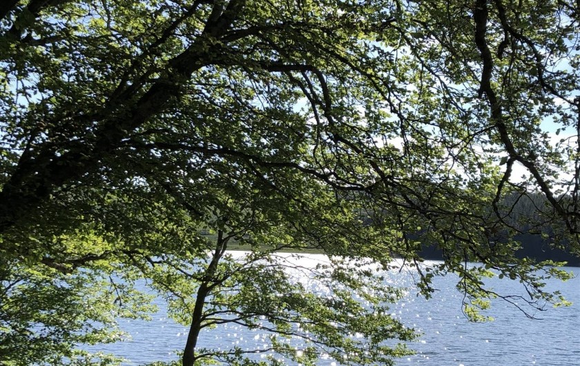 Location de vacances - Chambre d'hôtes à Chadeleuf