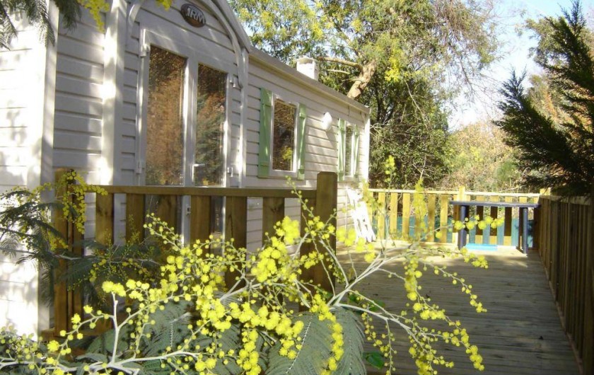Location de vacances - Camping à Sorède - Mobil-home les Mimosas 40 m² - climatisé - 3 chambres - terrasse 21 m²