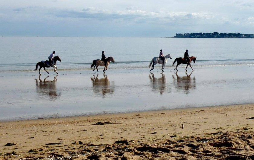 Location de vacances - Camping à Sorède - Randonnées et balades à cheval