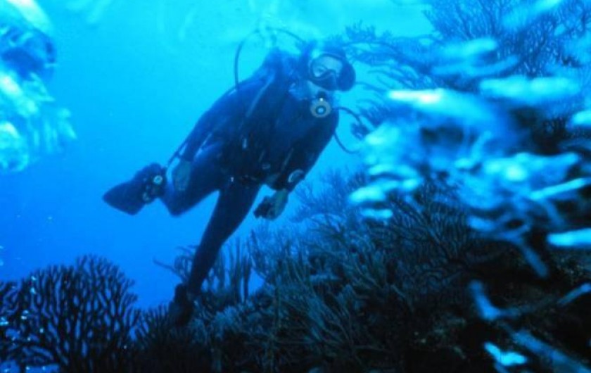 Location de vacances - Camping à Sorède - Plongée sous-marine