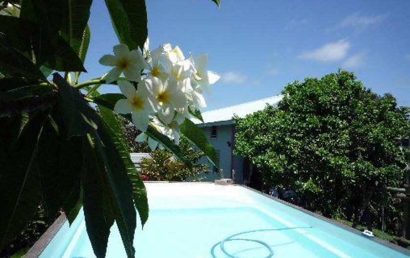 Location de vacances - Bungalow - Mobilhome à Petit Bourg