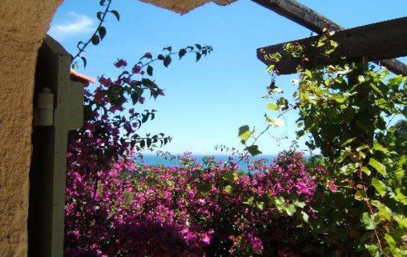 Location de vacances - Villa à Les Issambres