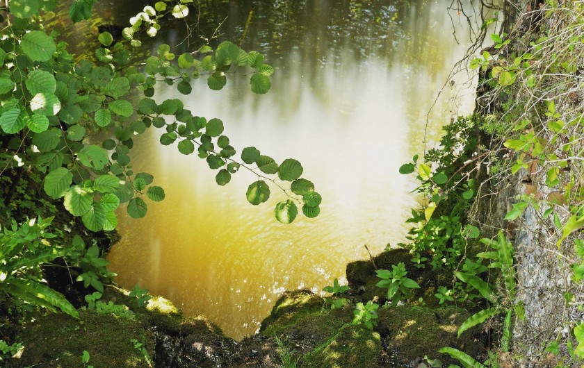 Location de vacances - Villa à Saint-Cernin de Reilhac