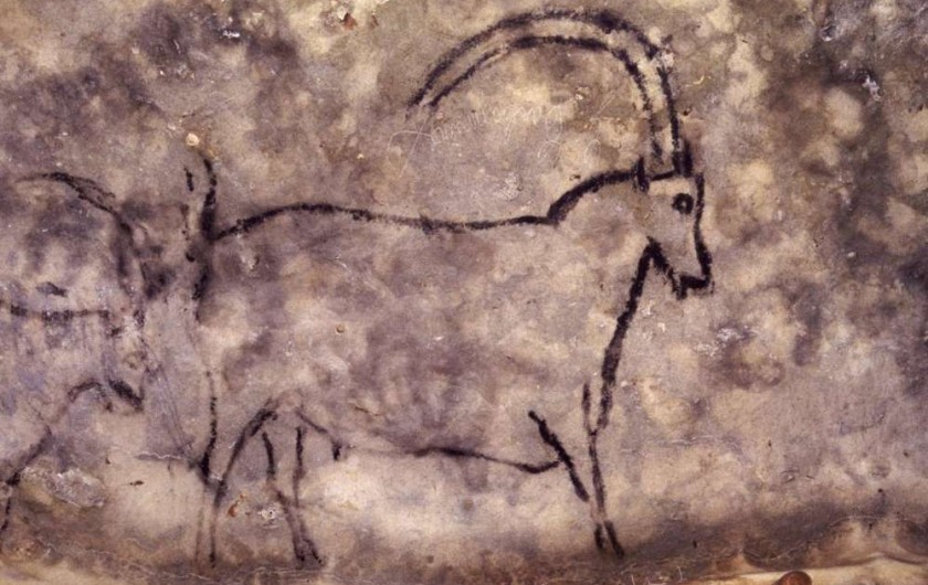 Location de vacances - Villa à Saint-Cernin de Reilhac