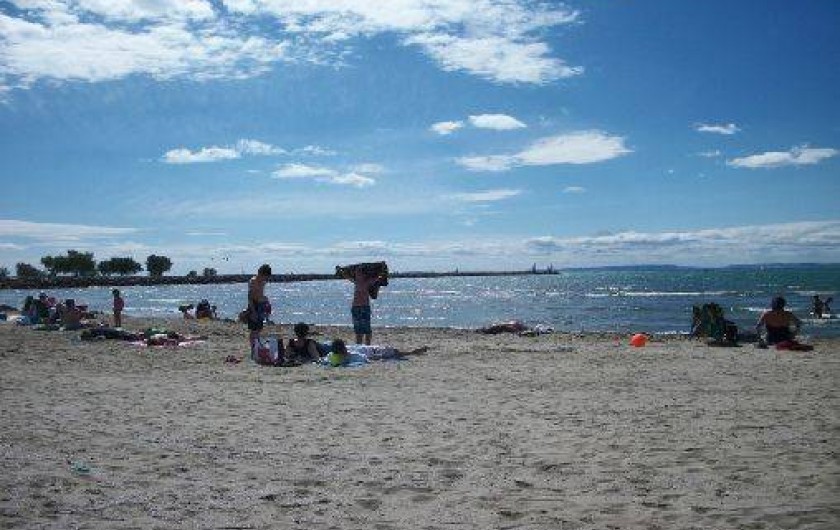 Location de vacances - Studio à Le Grau-du-Roi