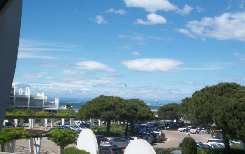 Location de vacances - Studio à Le Grau-du-Roi