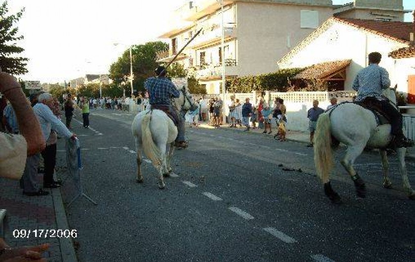 Location de vacances - Studio à Le Grau-du-Roi