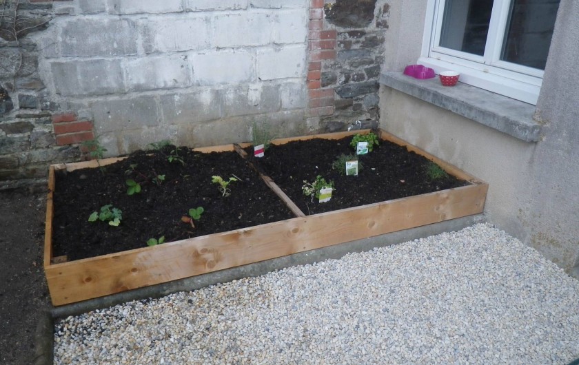 Location de vacances - Appartement à Saint-Pair-sur-Mer - carré potager