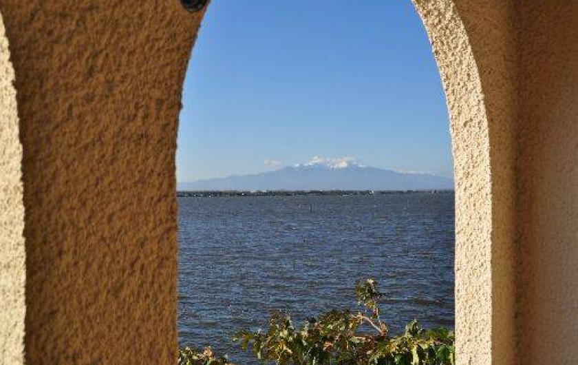 Location de vacances - Appartement à Le Barcarès