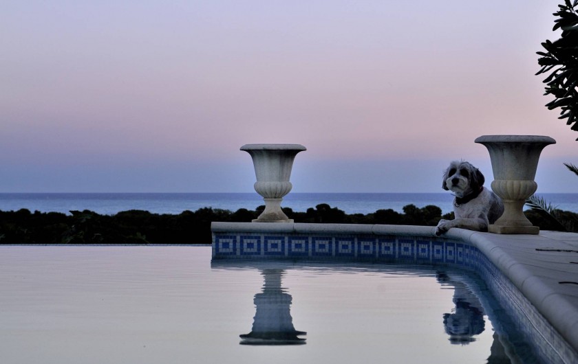 Location de vacances - Maison - Villa à Biot