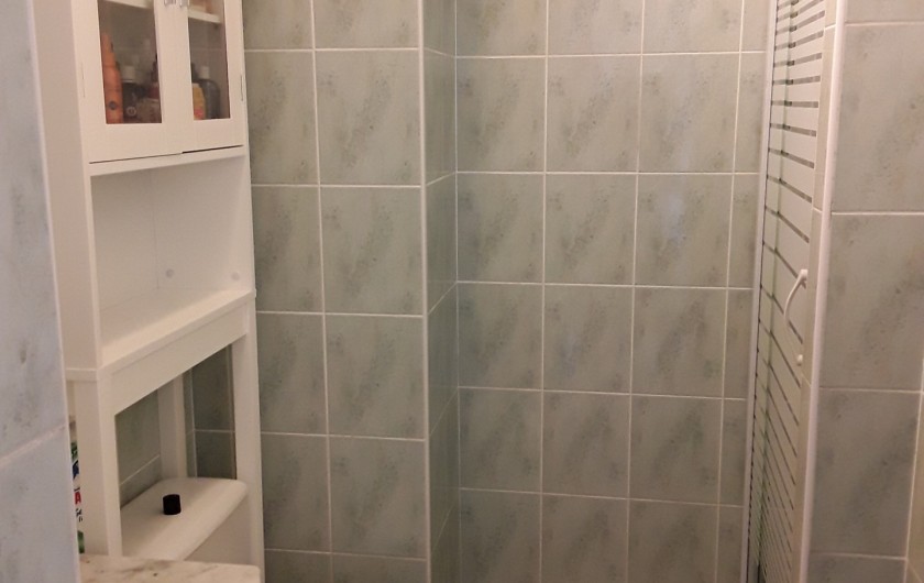 Location de vacances - Appartement à Agde - salle d'eau : douche - lavabo & meubles -WC