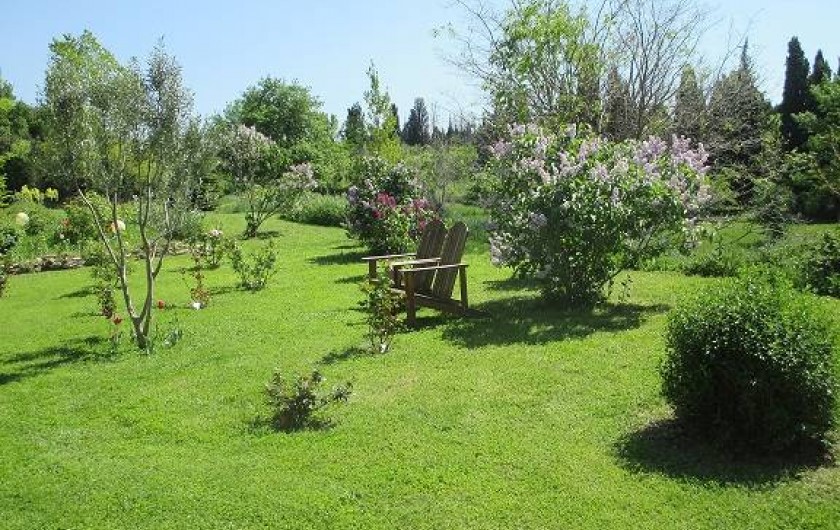 Location de vacances - Gîte à Salon-de-Provence - Le jardin fleuri au printemps