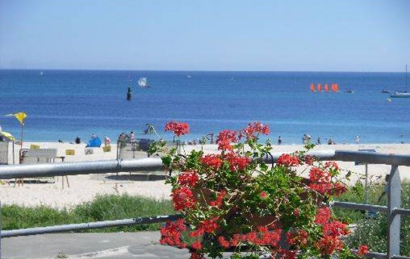 Location de vacances - Maison - Villa à Audierne