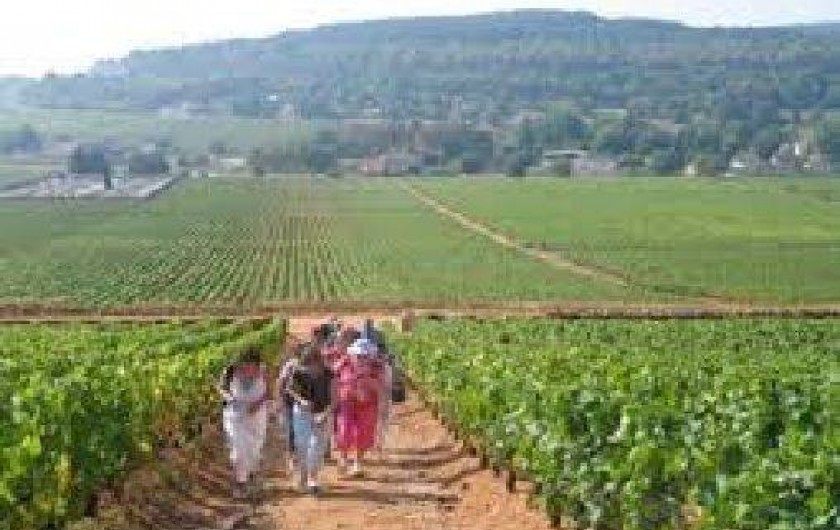 Location de vacances - Gîte à Autun - gite situé entre les vignobles du Beaunois et du Couchois
