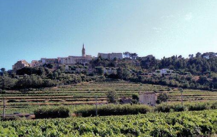 Location de vacances - Chambre d'hôtes à La Cadière-d'Azur