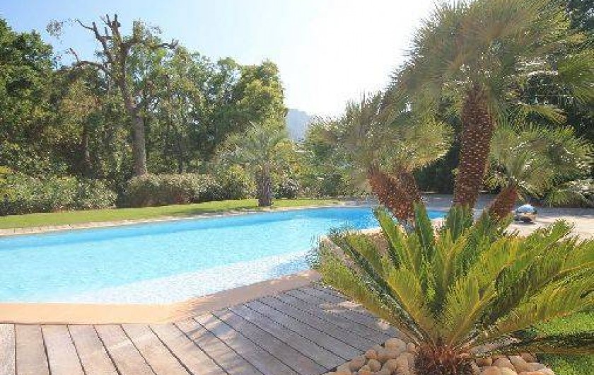 Location de vacances - Villa à Mandelieu-la-Napoule