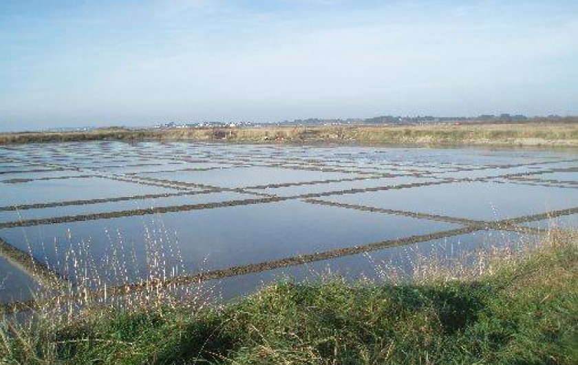 Location de vacances - Maison - Villa à Mesquer
