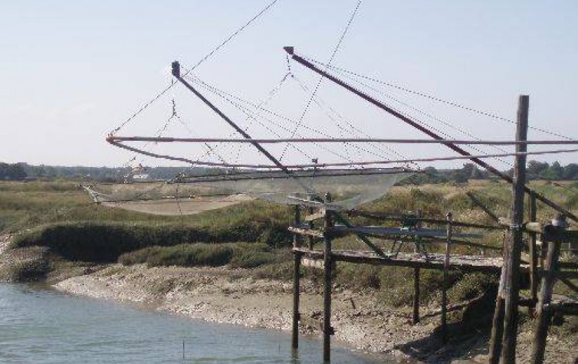 Location de vacances - Maison - Villa à Mesquer