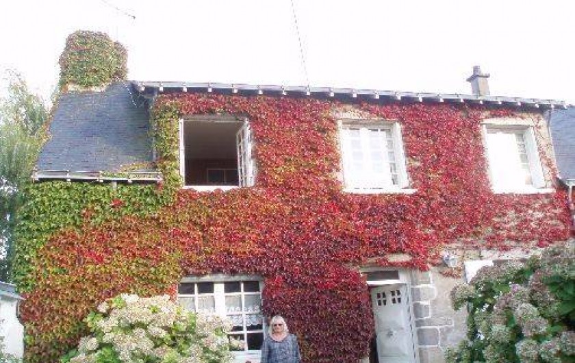 Location de vacances - Maison - Villa à Mesquer