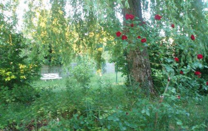 Location de vacances - Maison - Villa à Mesquer