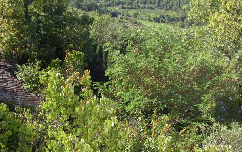 Location de vacances - Gîte à Bize-Minervois - vue d'une fenêtre  sur la campagne 