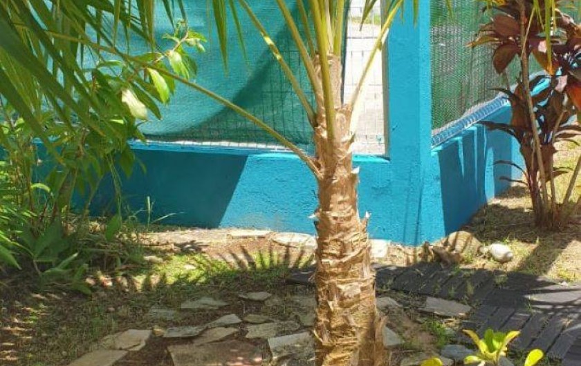 Location de vacances - Villa à Le Diamant