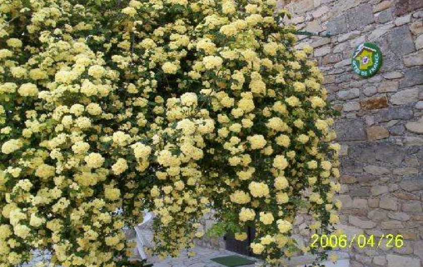 Location de vacances - Gîte à Saint-Séries