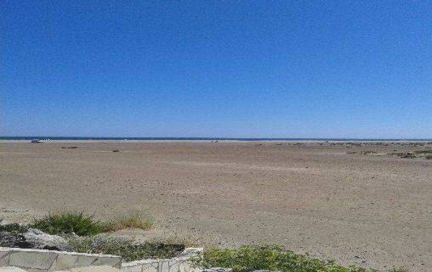 Location de vacances - Villa à Gruissan