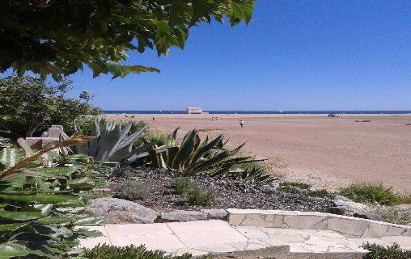 Location de vacances - Villa à Gruissan