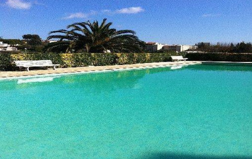 Location de vacances - Appartement à Antibes