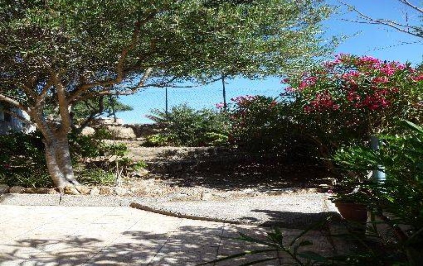 Location de vacances - Appartement à Porto Pollo