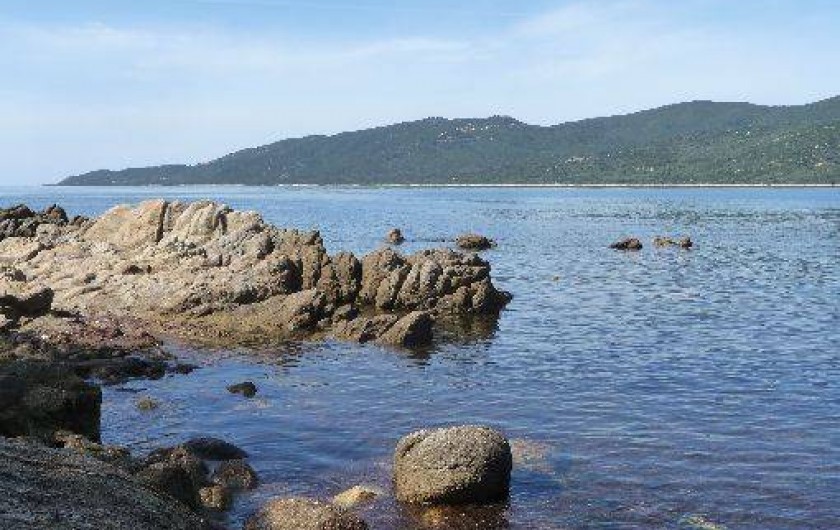 Location de vacances - Appartement à Porto Pollo