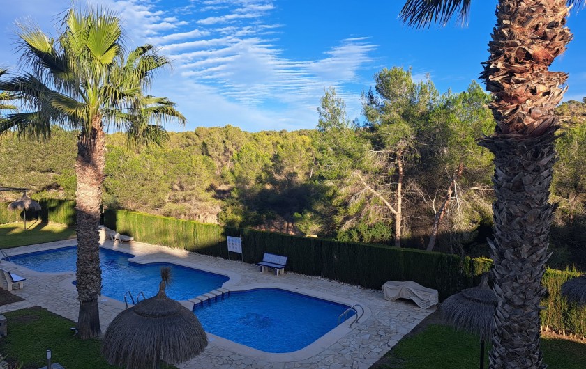 Location de vacances - Appartement à Orihuela Costa - Piscine résidence
