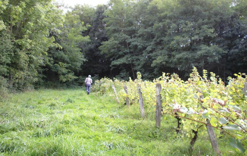 Location de vacances - Chambre d'hôtes à Beaufort