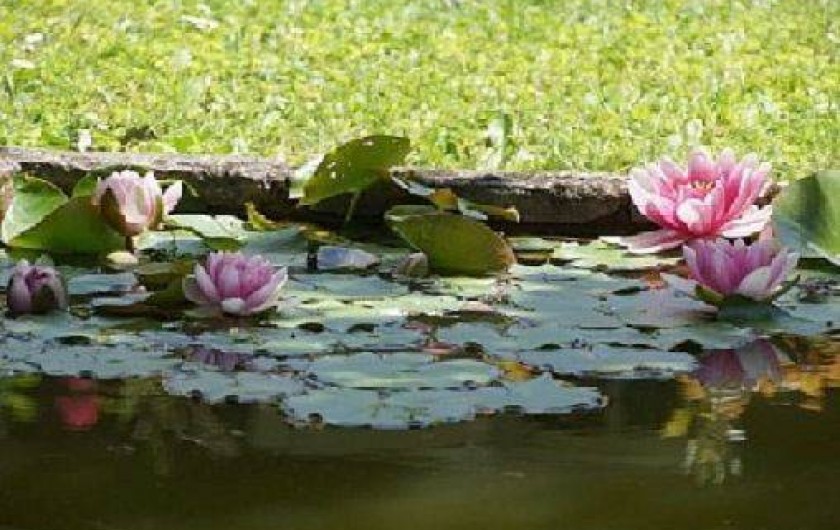 Location de vacances - Gîte à Branne