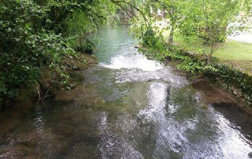 Location de vacances - Gîte à Lamotte-Beuvron