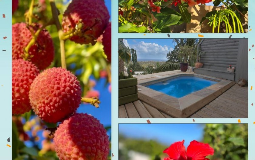 Location de vacances - Bungalow - Mobilhome à L'Étang-Salé - VETIBUNGA PERIODE DE NOËL