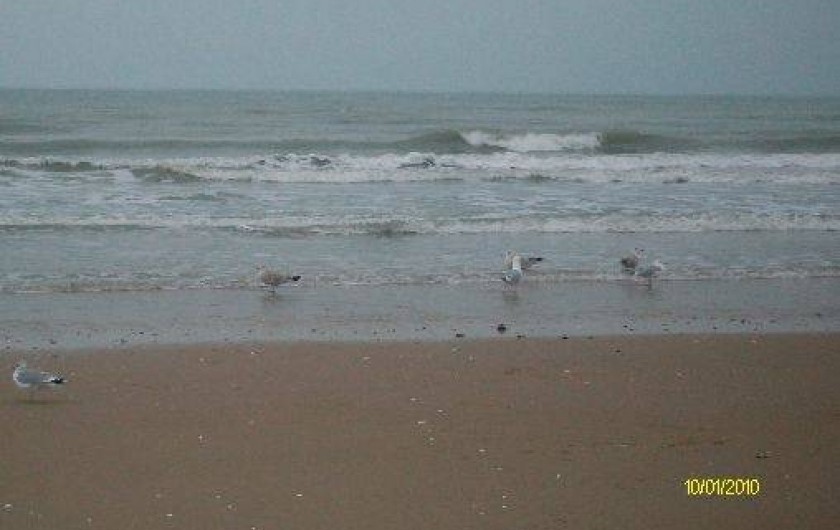 Location de vacances - Appartement à Cabourg