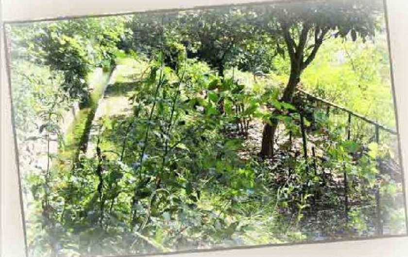 Location de vacances - Maison - Villa à Le Val