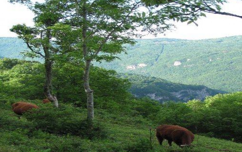 Location de vacances - Gîte à Hostiaz
