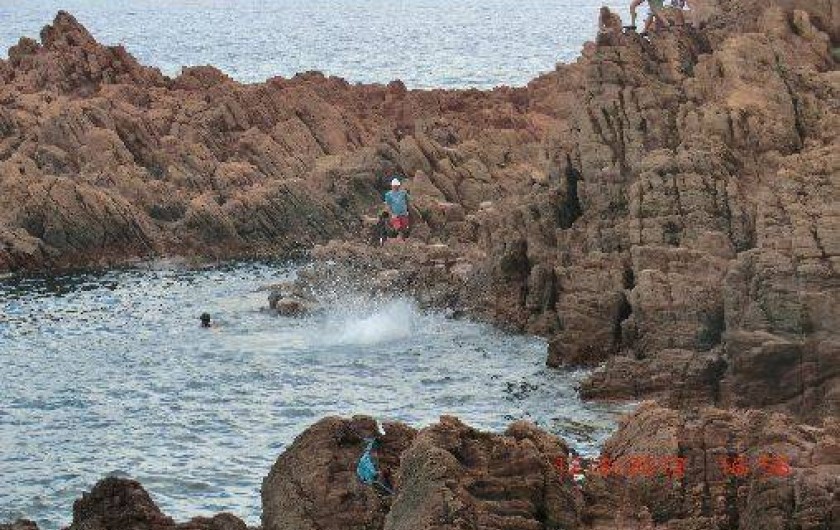 Location de vacances - Studio à Saint-Raphaël