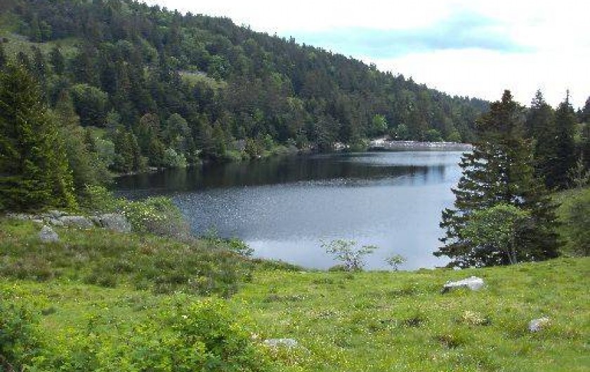 Location de vacances - Gîte à Orbey