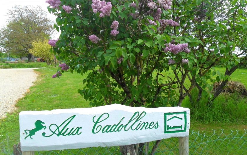 Location de vacances - Gîte à Romenay