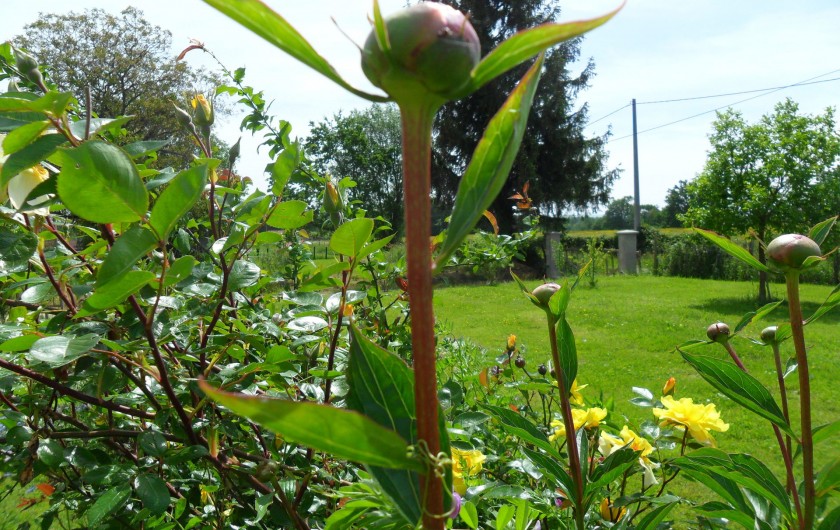 Location de vacances - Gîte à Romenay