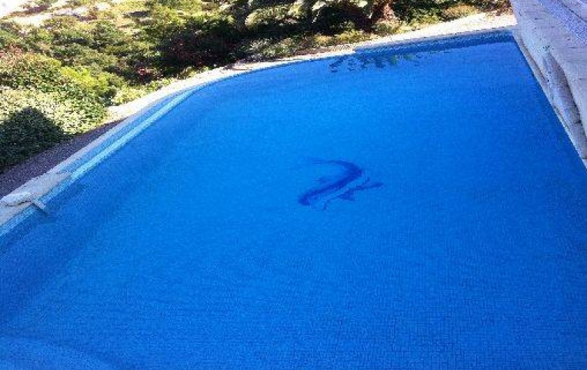 Location de vacances - Villa à Les Adrets-de-l'Estérel