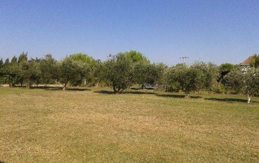 Location de vacances - Gîte à Aigues-Mortes