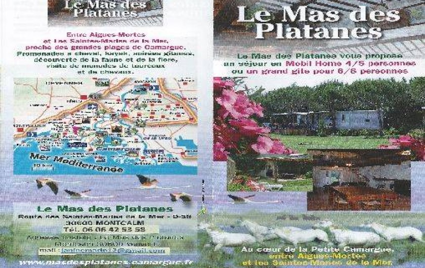 Location de vacances - Gîte à Aigues-Mortes