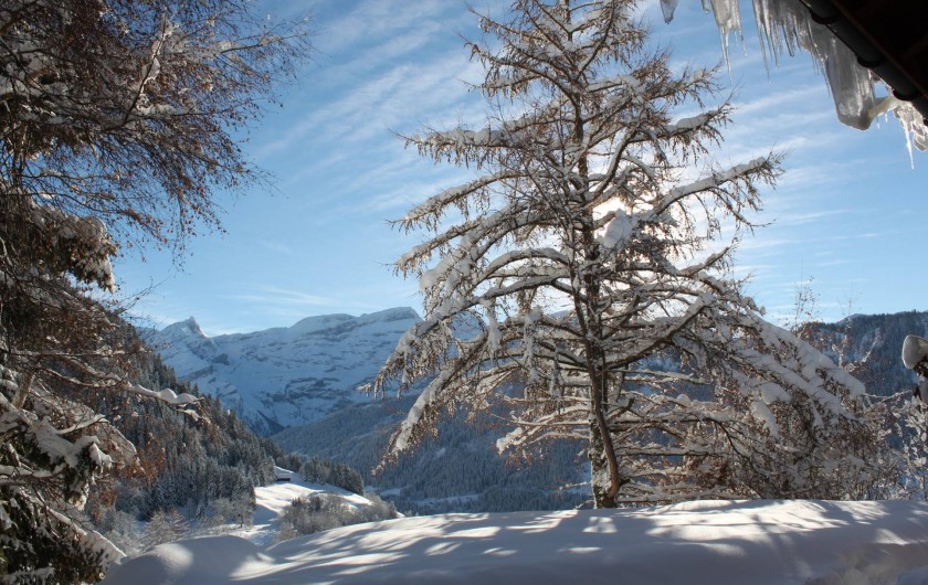 Location de vacances - Chalet à La Comballaz - vue du salon sur le Glacier des Diablerets